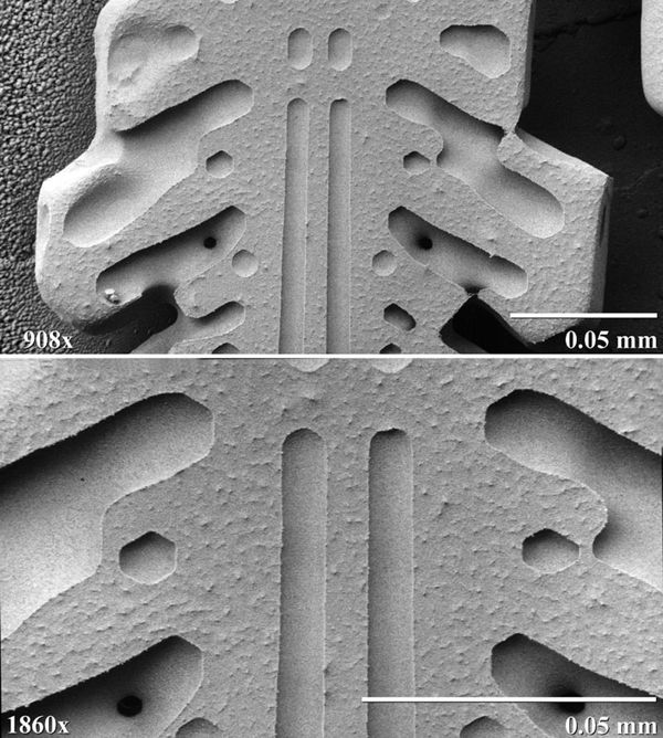 Electron Microscope image of a snowflake