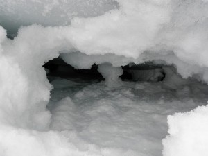 Crevasse, the killer. Not actual size (only 45cm across)