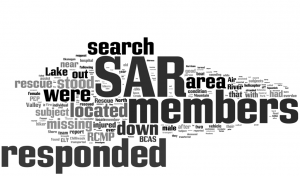 SAR Word Cloud 1[5]