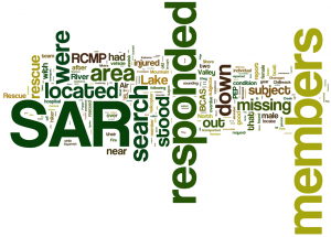 SAR Word Cloud 2[4]