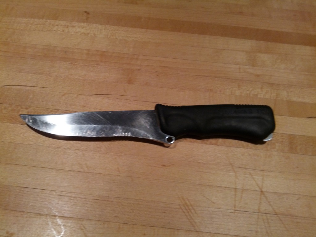 The Cheese Knife Oplopanax Horridus