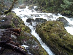 Stream and Rocks