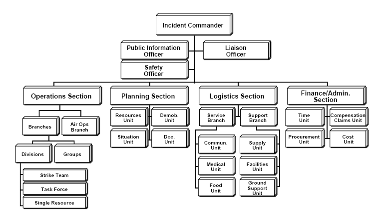 ICS Organisation Chart